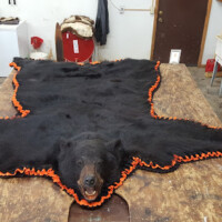 A black bear rug with an orange trim is spread out on a large wooden table in a workshop.