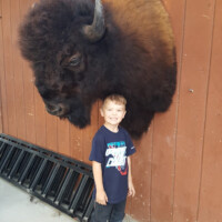 A boy stands smiling next to a mounted bison head on a wooden wall, with a ladder leaning nearby.