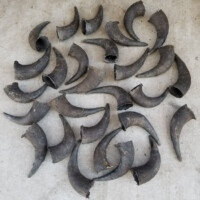 A collection of empty, hollow animal horns arranged on a concrete surface.