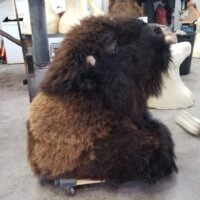 A large, realistic bison prop or costume head rests on a workshop floor surrounded by molds and tools.