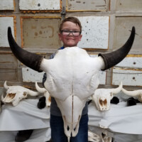 A boy stands indoors holding a large bison skull in front of him, with more animal skulls displayed in the background.