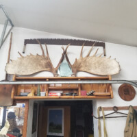 A pair of large moose antlers and a vintage saw mounted on the wall above a cluttered doorway shelf in a workshop.
