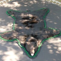 A bear rug with green trim is laid out flat on a trampoline under dappled sunlight.