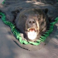 A bear skin rug with open mouth displayed on the floor, edged with green and black fabric trim.